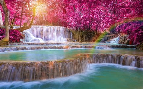 Waterfall, tree, plants, flowers, nature, sky, HD wallpaper | Peakpx