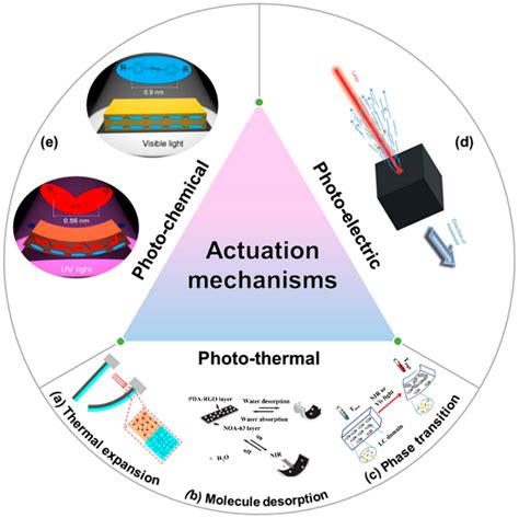 Actuators | Free Full-Text | Light-Responsive Soft Actuators: Mechanism, Materials, Fabrication ...