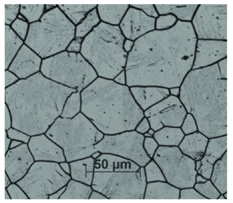 The microstructure of 321 austenitic stainless steel. | Download Scientific Diagram