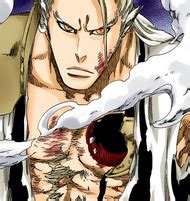 Sajin Komamura vs. Bambietta Basterbine | Bleach Wiki | FANDOM powered ...