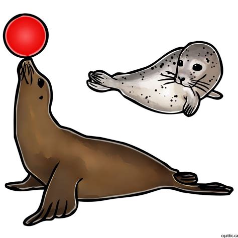 Cartoon Seal Drawing in 4 Steps With Photoshop | Рисунки, Тюлень