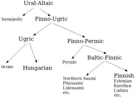 Finnish Language Tree