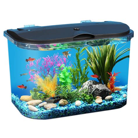 5 Gallon Fish Tanks - Options and Reviews 2023 | A Little Bit Fishy