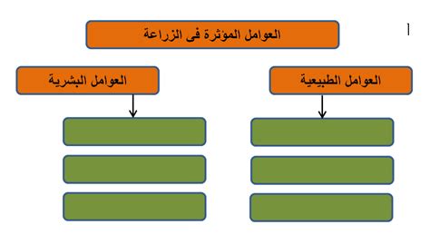 العاشر جغرافيا