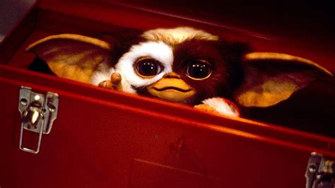 Gremlins 2: The New Batch (1990) - Backdrops — The Movie Database (TMDB)