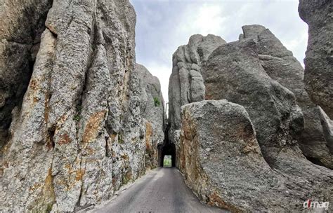 Needles Highway: scenic drive in South Dakota's Black Hills is a must - Daily Luxury