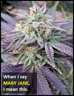 MARY JANE | What Does MARY JANE Mean?