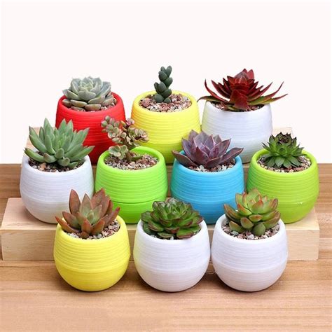 Pot Bunga Tanaman Mini Vas Bunga Dengan Tabung Penyimpanan Air | Shopee Indonesia