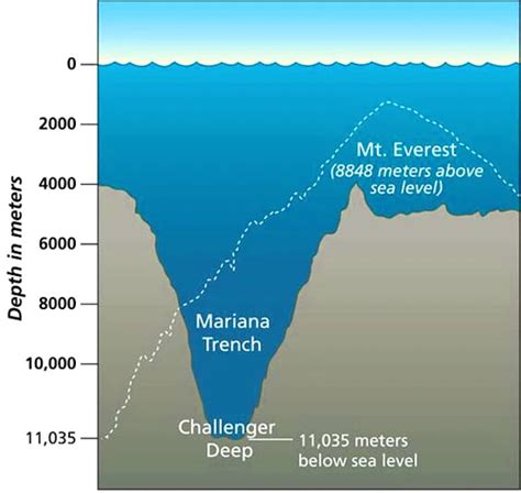 mariana trench depth, Explore The Deepest The Mariana Trench - agriturismofurfullanu.net