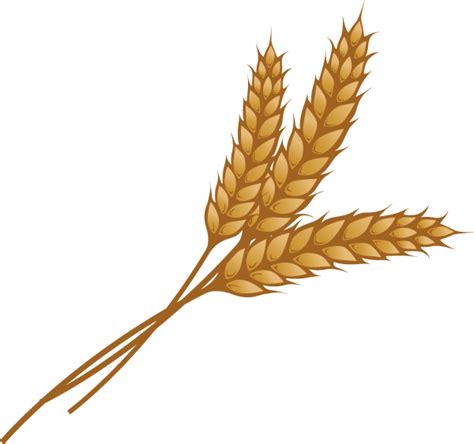 Grain clipart wheat silhouette, Grain wheat silhouette Transparent FREE ...