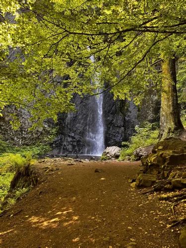 2023 Best 10 Short Trails in Auvergne Volcanoes Regional Nature Park ...