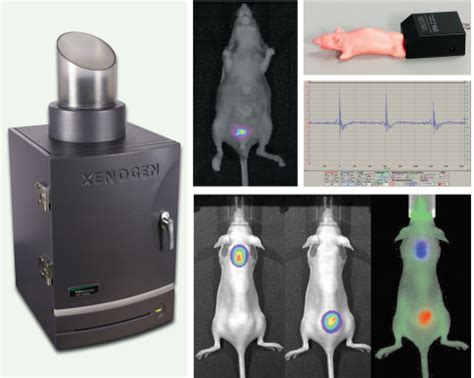 Caliper IVIS Lumina Imager // Sue & Bill Gross Stem Cell Research ...