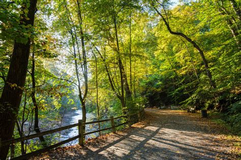 The Wissahickon's Forbidden Drive Voted the Pennsylvania Trail of the Year