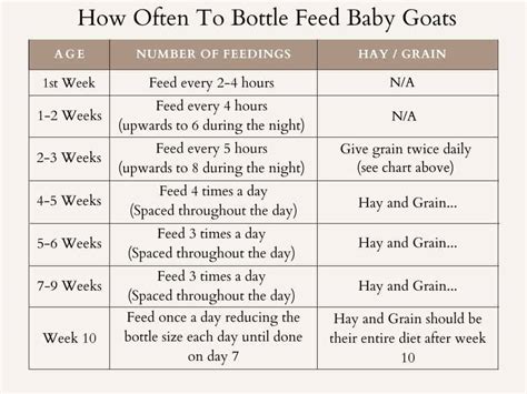 Guide to Bottle Feeding Goat Kids