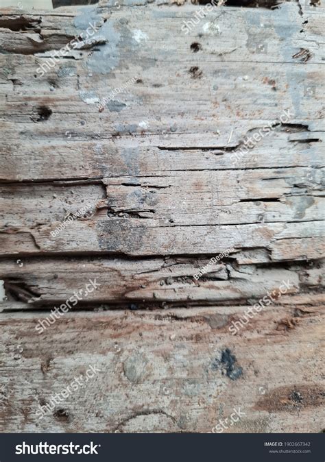 Classic Old Wood Texture Wallpaper Stock Photo 1902667342 | Shutterstock