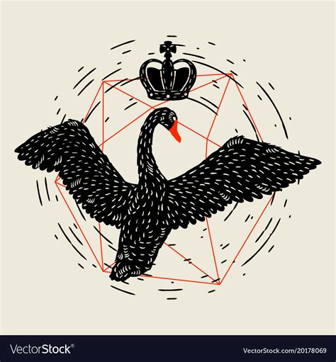 Background with flying black swan hand drawn bird Vector Image