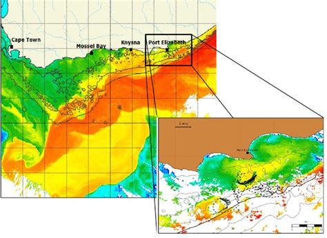 Gliders are helping unlock the secrets of the Agulhas current