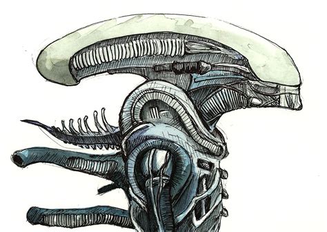 Xenomorph Head Sketch | Drawing Skill