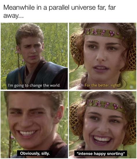 Just 23 Of The Funniest Padme And Anakin Memes