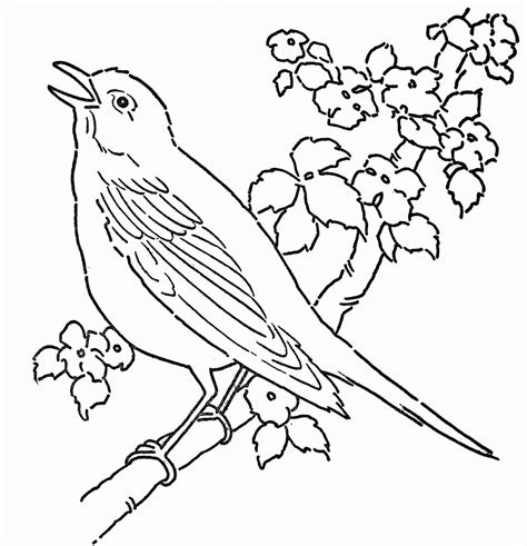 Canario Canta en Rama de Árbol para colorear, imprimir e dibujar –ColoringOnly.Com