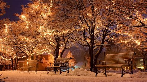 HD wallpaper: winter, snow, christmas lights, branch, tree, night, evening | Wallpaper Flare