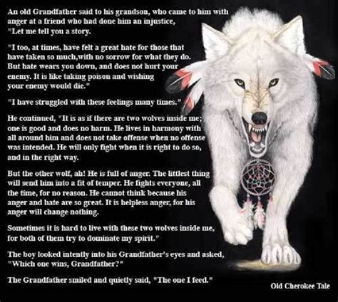 Two Wolves @ Ya-Native.com | Wolf quotes, Native american quotes ...