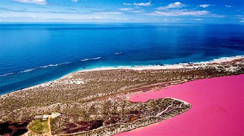 Pink Lake Buggy Tour, 1 Hour - Hutt Lagoon, WA - Adrenaline