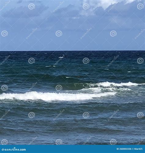 Beautiful Whitecap Waves stock photo. Image of shoreline - 260003336