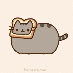 Toast Cat GIF - ToastCat - Discover & Share GIFs