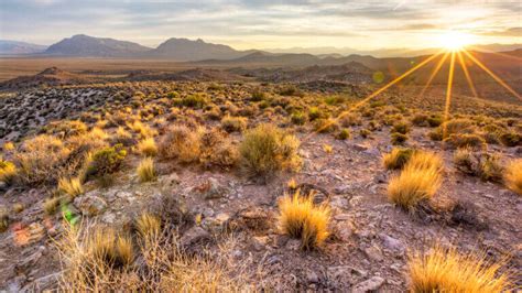 Basin and Range National Monument | Travel Nevada