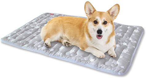 Moonsea Dog Crate Mat, Soft Dog Bed Mat with Cute Prints, Personalized Dog Crate Pad, Anti-Slip ...