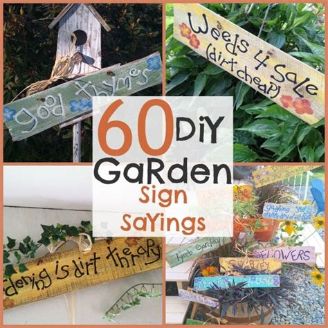 DIY Garden Signs and Garden Sign Sayings | Garden signs diy, Funny ...