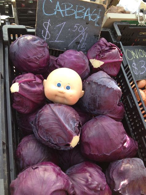 Cabbage Head | Funny images laughter, New funny images, Best funny images