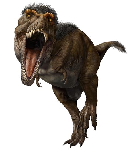 The real T. rex looked nothing like the monster in 'Jurassic Park ...