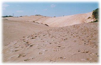 The Kurnell Peninsula - Sand Dunes