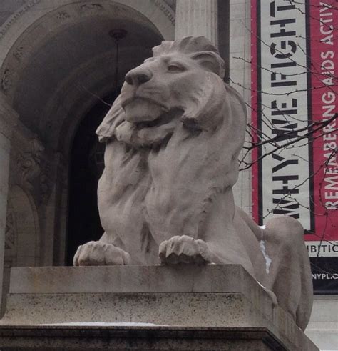 Lion statue at the New York Public Library | New york library, New york ...