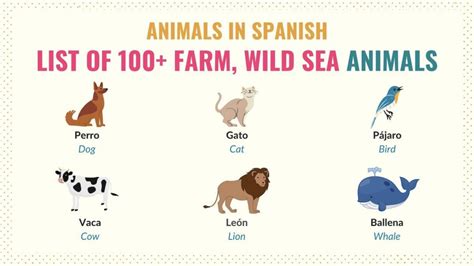 Animals in Spanish: List of 100+ Farm, Wild & Sea Animals