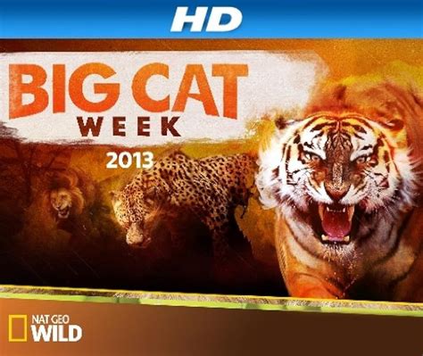 "Big Cat Week" Big Cat Games (TV Episode 2015) - IMDb