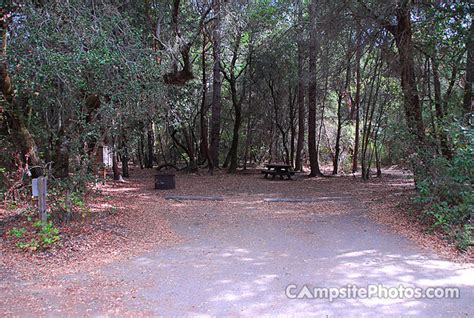 Henry Cowell Redwoods State Park - Campsite Photos & Reservations