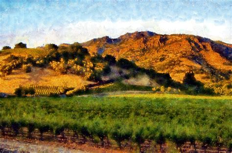 Napa Valley Digital Art by Kaylee Mason - Fine Art America