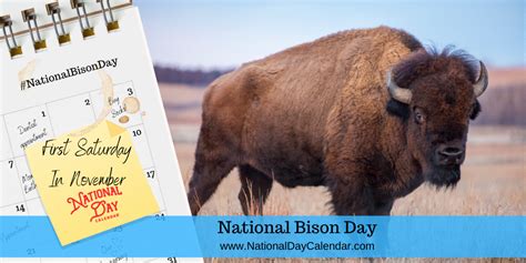 NATIONAL BISON DAY - First Saturday in November | National day calendar, National, Sons day