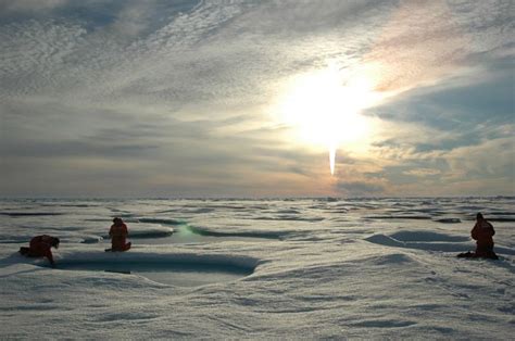 Global Warming is Greening the Arctic Tundra | Climate Change | Live ...