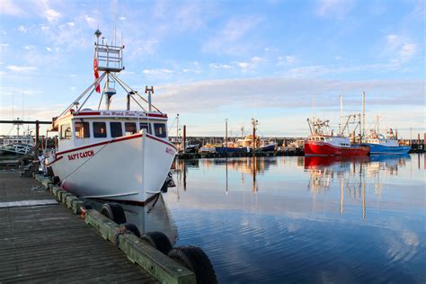 Top Tips for planning your day trip to Machias Seal Island - East Coast Mermaid