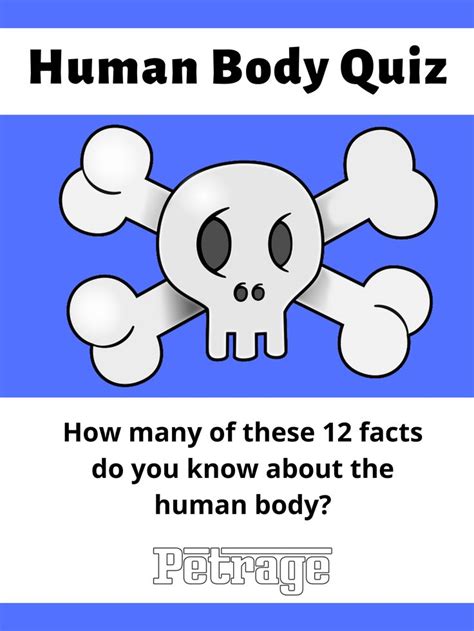 Human Body Quiz | Quiz, Fun online quizzes, Science facts