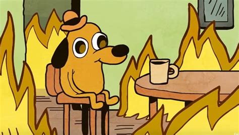 Funny memes, This is fine meme, Dog memes