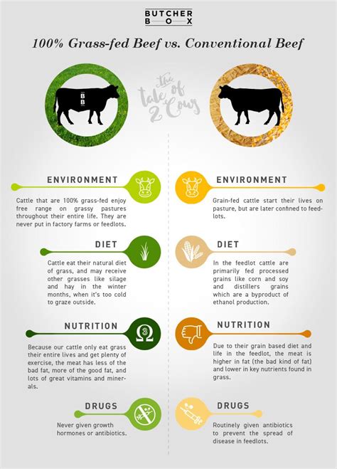 🐮 Is Grass-Fed Meat Really Better (Or Worth It)? 🐓 — Ditch The Carbs