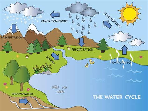 Water Cycle - Education site