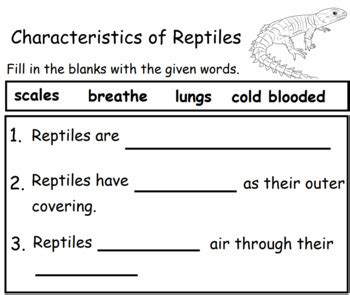 Characteristics of Reptiles by Oh Shee Ning | TPT