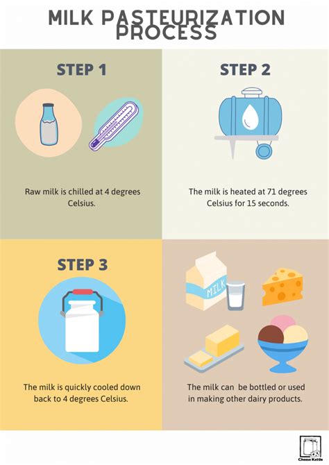 Milk Pasteurization Process - Cheese Kettle