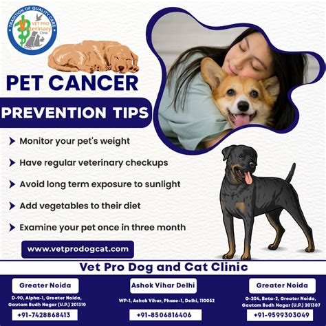 Pet Cancer Prevention Tips